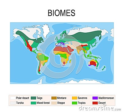 Biomes. Terrestrial ecosystem Vector Illustration