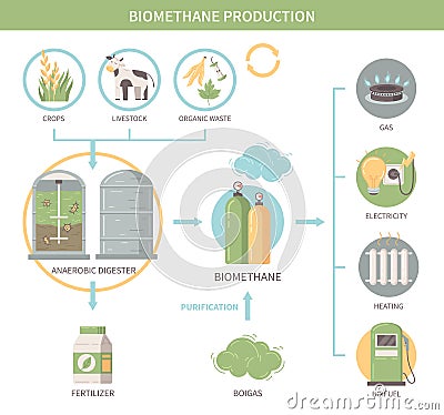 Biomethane Production Infographics Vector Illustration