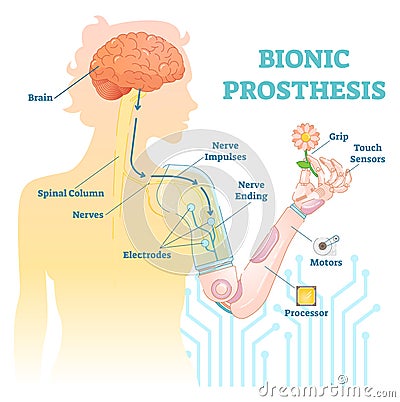 Bionic prosthesis - robotic female hand Vector Illustration