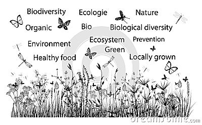 Biosphere environment, biodiversity, ecology theme illustration Vector Illustration