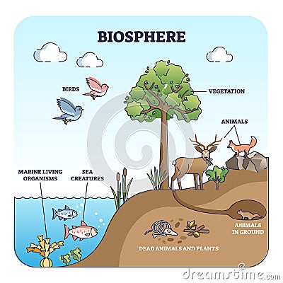 Biosphere and natural habitat division for living creatures outline diagram Vector Illustration