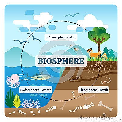 Biosphere vector illustration. Labeled all natural ecosystems with wildlife Vector Illustration