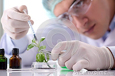 The biotechnology concept with scientist in lab Stock Photo