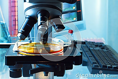 Biotechnology laboratory with a microscope analyzing a plate Stock Photo