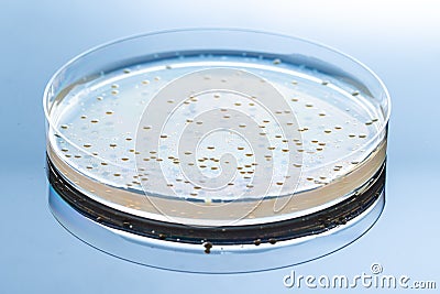 Biotechnology and research of new drugs, concept of antibiotic resistance Stock Photo