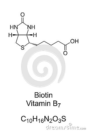 Biotin vitamin B7 chemical formula and skeletal structure Vector Illustration