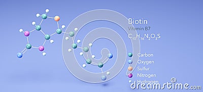 biotin, vitamin b7, molecular structures, 3d rendering, Structural Chemical Formula and Atoms with Color Coding Stock Photo