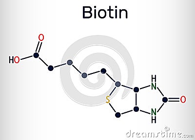Biotin, vitamin B7 molecule. Structural chemical formula Vector Illustration