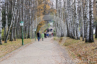 Birch Alley with beautiful street lamps in the estate of Leo Tolstoy in Yasnaya Polyana Editorial Stock Photo