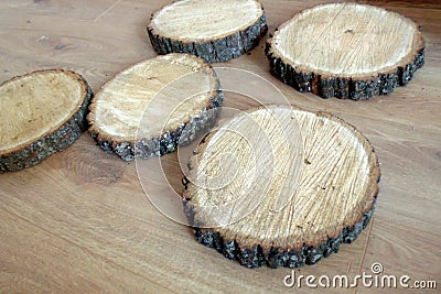 Birch and coniferous round cuts on a wooden table Stock Photo