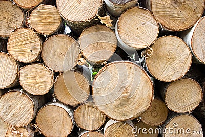 Birch fire wood Stock Photo