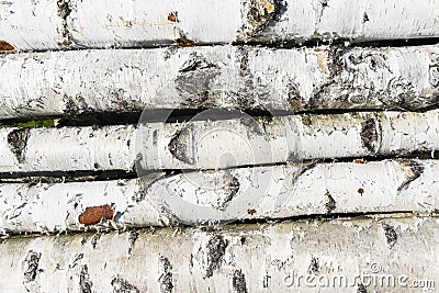 Birch fire wood Stock Photo