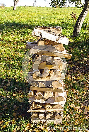 Birch firewood loaded stack Organic fuel fireplace Stock Photo