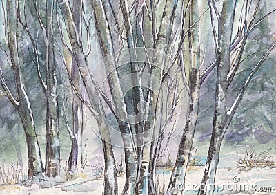 Birch forest. Winter and the beginning of spring. Pastel shades. Hand drawn watercolor illustration Cartoon Illustration