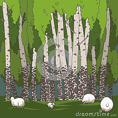 Birch grove and sheeps Vector Illustration