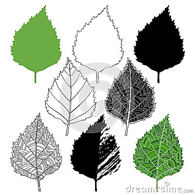 Birch leaf, isolated elements for design on a white background. Cartoon Illustration