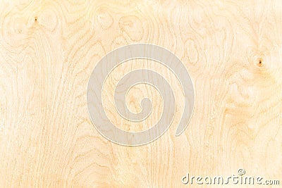 Birch plywood background Stock Photo