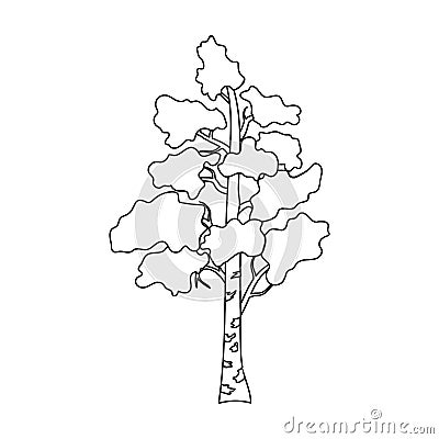 Birch tree icon in outline style isolated on white background. Russian country symbol stock vector illustration. Vector Illustration