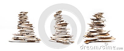 Birch Wood Slices Stock Photo