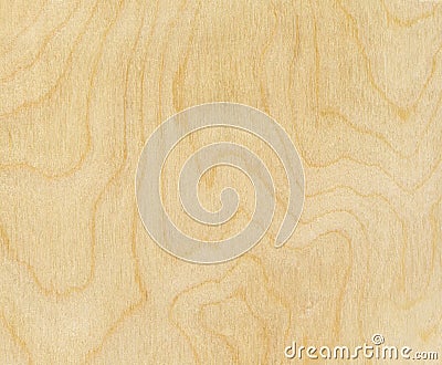 Birch wood texture Stock Photo