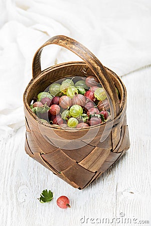 Birchbark basket full of ripe green and red gooseberries Stock Photo