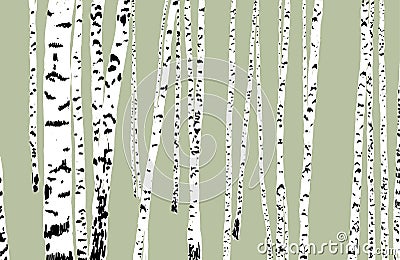 Birchwood Vector Illustration