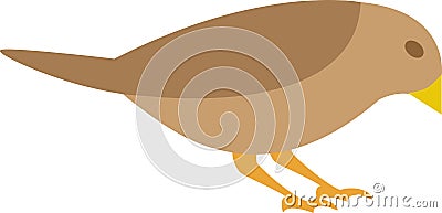 Bird Vector Illustration