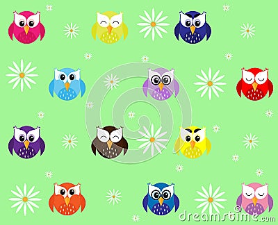 Multi colored owls with white daisies Vector Illustration