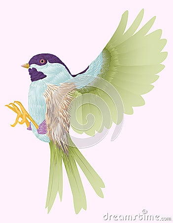 A bird Vector Illustration