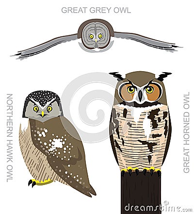 Bird American Owl Set Cartoon Vector Illustration Vector Illustration