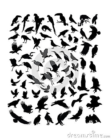 Bird Animal Activity Silhouettes Vector Illustration