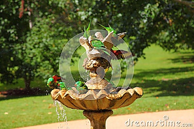 Scaly-breasted Lorikeet birds splashing in fountain in park Stock Photo