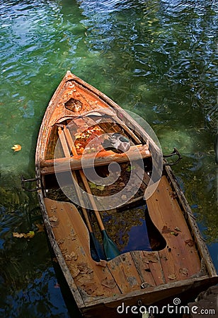 Bird in boat Stock Photo