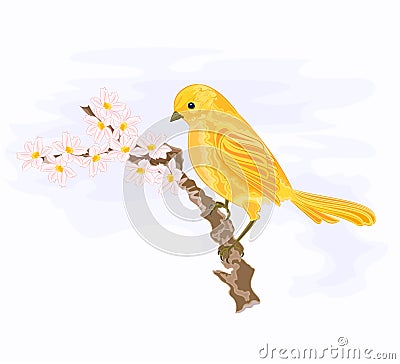 Bird on a branch with white flowers Vector Illustration