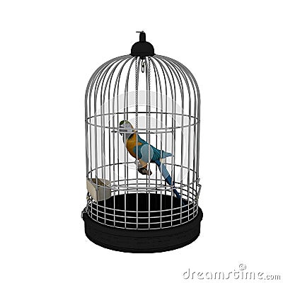 Bird in cage Stock Photo