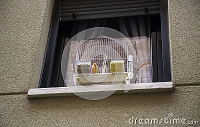 Bird in cage Stock Photo