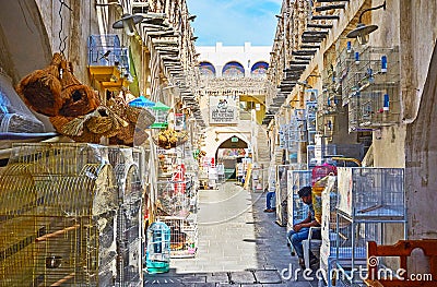 Bird cages in Pet Market, Souq Waqif, Doha, Qatar Editorial Stock Photo