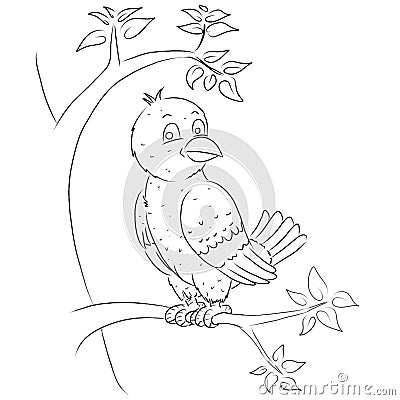 Bird cartoon colouring page Cartoon Illustration