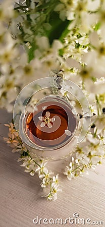 Bird cherry tree, a mug of tea. Herbal bird cherry tea Stock Photo