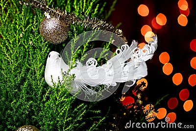 Bird on the Christmas tree with defocused lights background Stock Photo