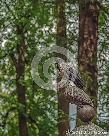 Crow on a stone tombstone owl grave Ukalovic. Lazarevskoye cemetery of Alexander Nevsky Lavra, St. Petersburg, Russia Stock Photo