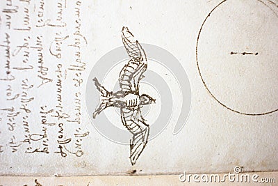 Bird, dove, mechanism of flight in the vintage book Manuscripts of Leonardo da Vinci, Codex on the Flight of Birds by T. Editorial Stock Photo