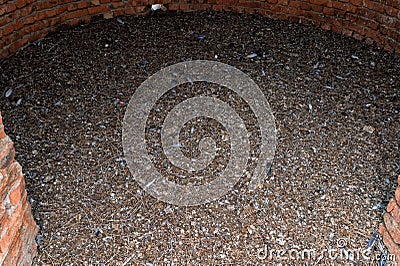 Bird dropping on the roof, dirty roof, bird poop. Stock Photo