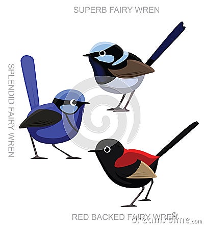 Bird Fairy Wren Set Cartoon Vector Illustration Vector Illustration