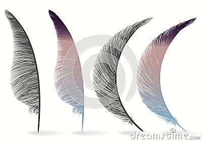 Bird feather icon, writing symbol. Fallen fluffy feathers isolated. vector Vector Illustration