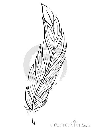 Bird feather vector illustration. Fluffy feather silhouette line art drawing Vector Illustration