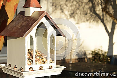 Bird Feeder hanging on a Crepe Myrtle. Stock Photo