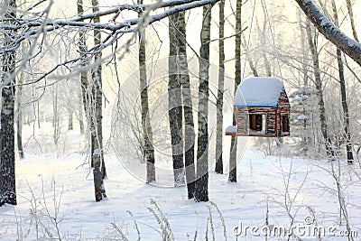 Bird Feeder in Winter Forest Stock Photo