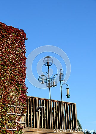 Bird feeders Stock Photo