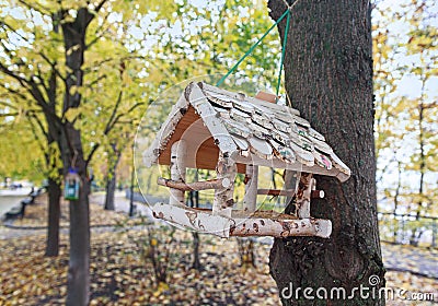 Bird feeders hanging on the avenue autumn park Stock Photo